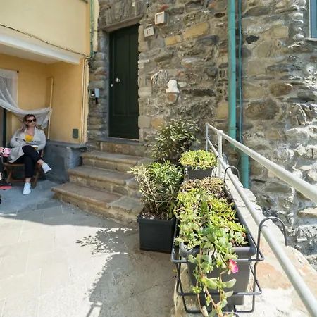 Guest house Ventu De Ma Sea View *
